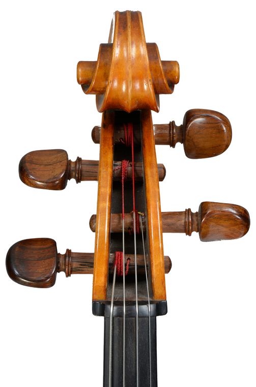 Celloschnecke Paul Knorr